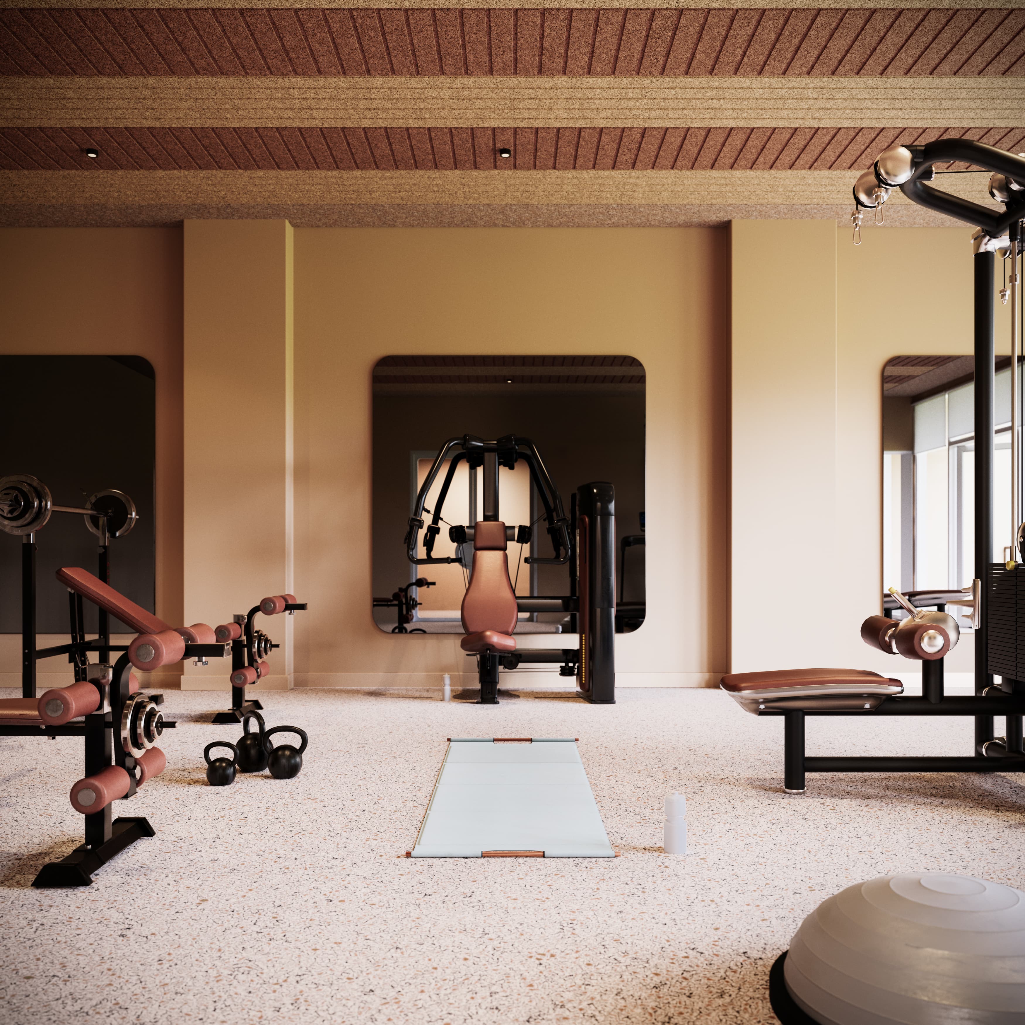 24f4dbba0186-Domus_Gym_Vignette_rev02.jpg
